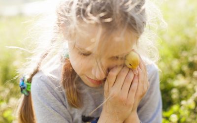 Waarom stressvermindering prioriteit nummer één moet zijn als je kind autisme heeft